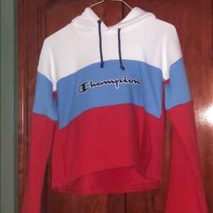 Champion Sweater